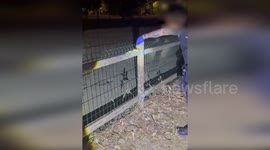 Spain: Snake Rescued and Safely Released at Dog Park in Ciudad Lineal