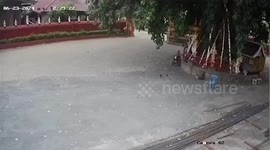 Falling branch kills old man, 88, sitting in wheelchair under tree