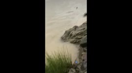 Miraculous rescue: man falls into river, saved by fishman after over 10 km floating