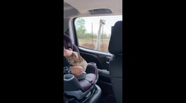 Little Girl fights Ostrich with Paper Bag
