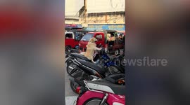 Loyal pet dog waits patiently for owner on motorcycle