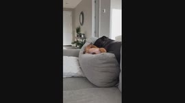 Dachshund Cuddles With Bigger Buddy