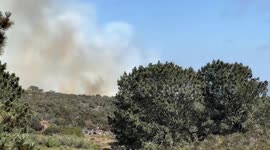 US: Brush Fire Erupts In Del Mar Heights, San Diego 2