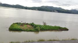Before and after footage shows allotment owner's dream washed away in floods