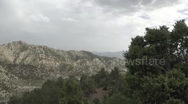 Afghans crack open opportunity from China-bound pine nut trade