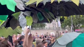 Restore nature now: protesters march through London demanding environmental action