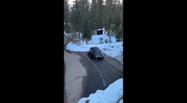 Bears Break Into Car