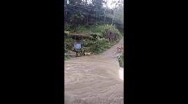 Loyal pet dog insists on following owner but gets swept away by flood