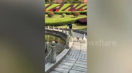 Geese chase student feeding fish at lake in China