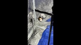 Fur-midable foe: Artist’s cat hilariously thwarts clean room on TikTok ranking over a million views