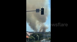 US: Brush Fire Erupts In Del Mar Heights, San Diego 5