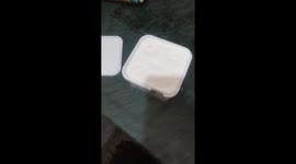 Shopper finds frozen centipede in her tub of ice cream in India