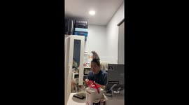 Kitten calmly sits on owner's head as she peels fruit