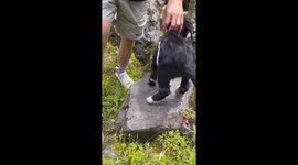 Heroic Chinese couple rescues lamb trapped between rocks
