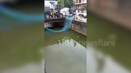 Forest officials rescue deer trapped in drain in northeastern India