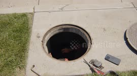 USA: Baby Duckling Trapped in Storm Drain Saved by Good Samaritan Interview On Camera