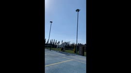 Horse collides with fence after sliding stop