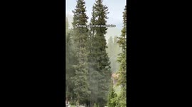 Crazy Pollen Storm In The Colorado Mountains