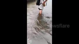 Japan: Torrential Downpours Lash Shizuoka Prefecture