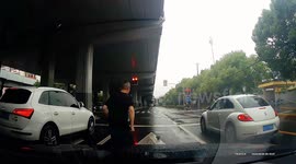 Chinese driver rescues stranded kitten from busy road