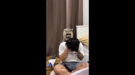 Pet raccoon climbs onto owner's shoulders to give massage
