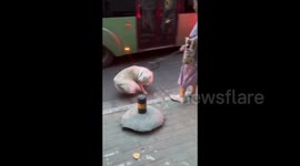 China: The Bus-Loving Border Collie