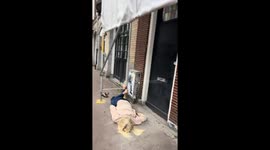 Follow-the-leader game ends in faceplant
