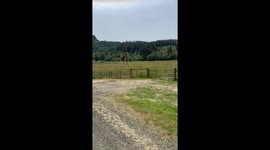 Double halo phenomenon captured in Myrtle Point, Oregon