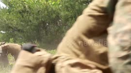 South Korea: U.S. Marines execute squad maneuvers during Korea Viper 24.2