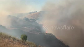USA: Blaze Engulfs San Jose: Firefighters Halt 30-Acre Grass Fire