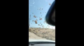 Tumbleweed Twister In Lake LA