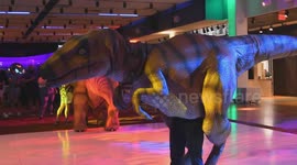 Koda from Pennsylvania Dinosaurs dances and interacts with guests at an event
