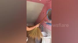 Female teacher catches snake terrorising girls' toilet