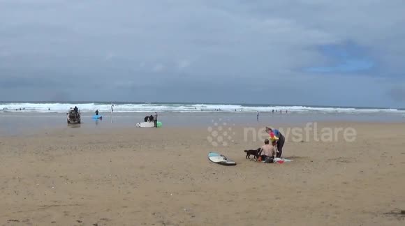 More Jelly fish, down sun this time at watergate bay , Newquay in North cornwall
