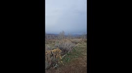 Beautiful, cool November morning in the mountains of Cache National Forest up Logan Canyon.