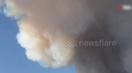 Wildfires erupt in W. Türkiye, neighborhood evacuated