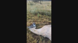 No need to get up