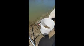 Fisherman's catch stolen by red-crowned crane at Chinese lakeside