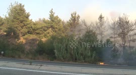 Wildfires in W. Türkiye under control, arrests underway: minister