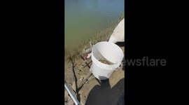 Fisherman's catch stolen by a crane wandering along lakeside