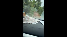 Couple rescue pet dog tied in sack and left to die on roadside