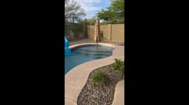 Moist Owlette Removed From Pool