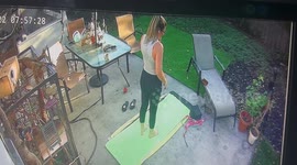Backyard Squirrel Yoga