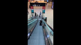 Why You Shouldn't Sit on an Escalator
