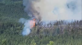 US: Riley Fire Burns More Than 300 Acres Near Denali National Park Entrance In Alaska 3