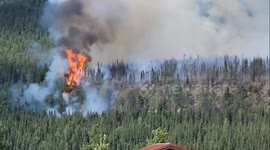 US: Riley Fire Burns More Than 300 Acres Near Denali National Park Entrance In Alaska