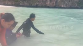Baby Blacktip reef shark rescued from plastic rings choking it