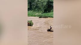 Elephant rescues tourists whose raft capsized in fast-flowing river