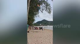 Saudi tourist gets stuck on tree while parasailing on Thai beach