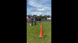 This was a 2 horse competition with Captain Junior ridden by Ben taking the win with a perfect score